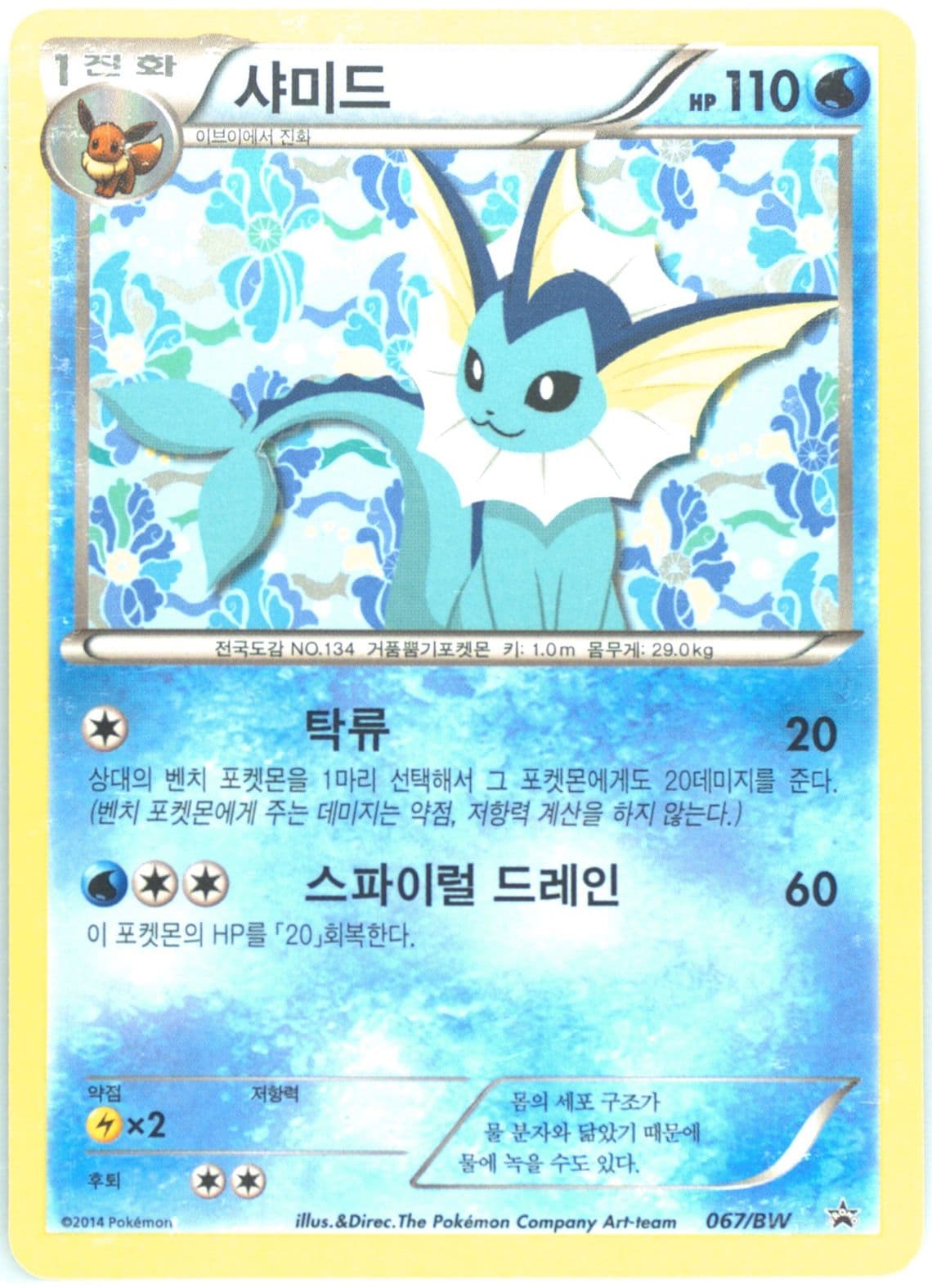 Vaporeon Eevee 2080 Toothbrush Set (067) 2014 Pokemon Korean BW Promo