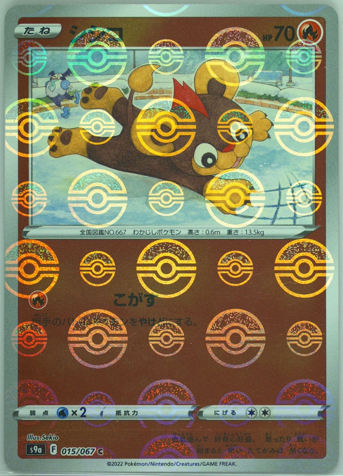 Litleo-Reverse Foil (015) 2022 Pokemon Japanese Sword & Shield Battle Region