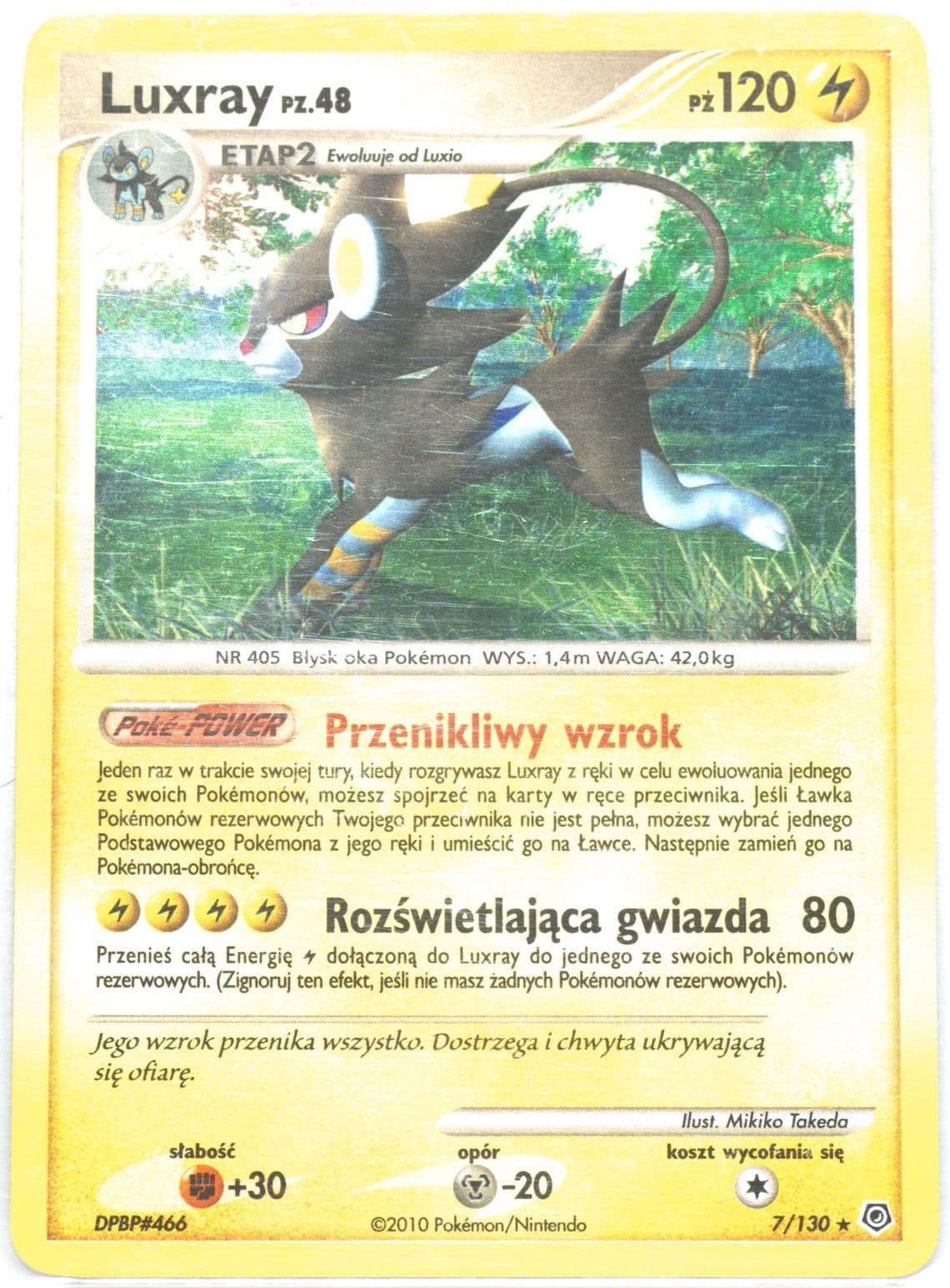 Luxray-Holo (7) 2010 Pokemon Polish Diamond & Pearl