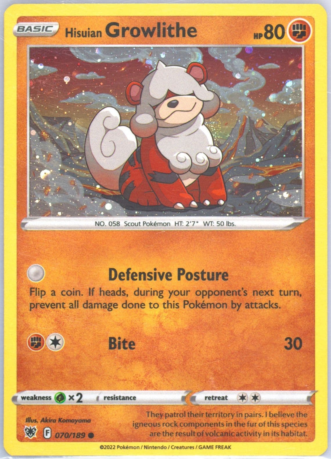 Hisuian Growlithe-Holo Fall 2022 Collector Chest (070) 2022 Pokemon Sword & Shield Astral Radiance