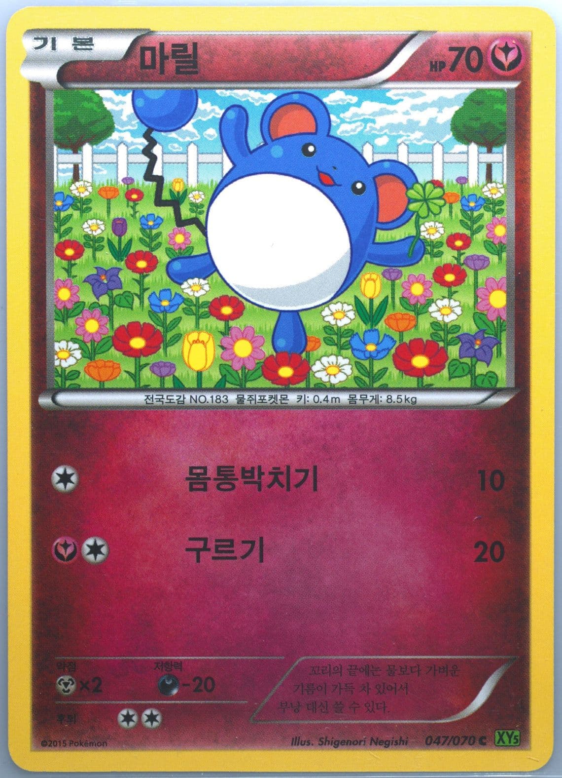 Marill (047) 2015 Pokemon Korean XY Tidal Storm