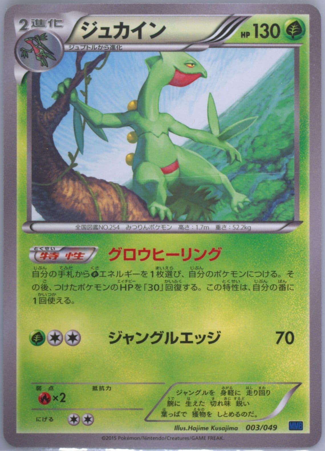 Sceptile (003) 2015 Pokemon Japanese M Master Deck Build Speed Style