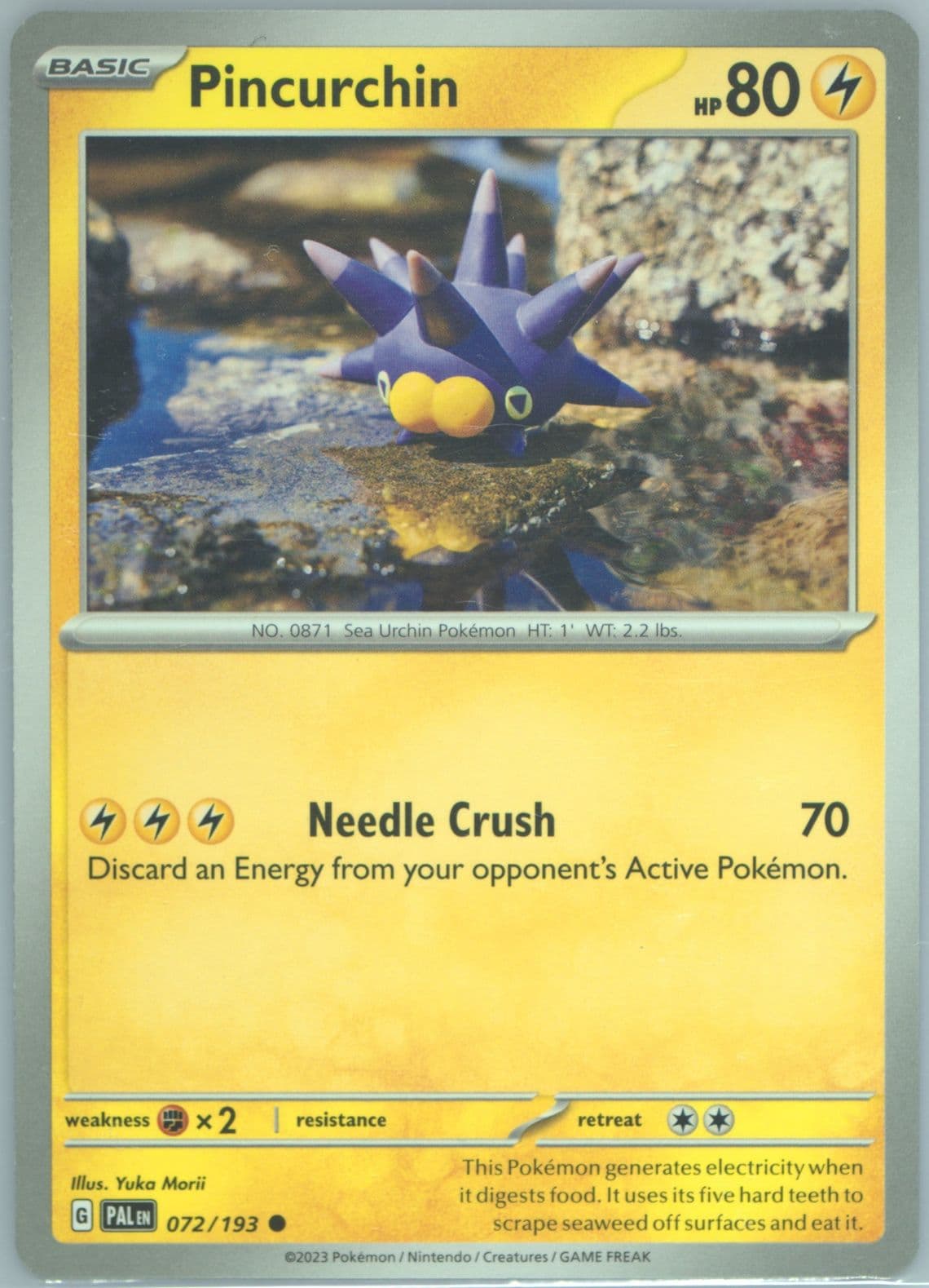 Pincurchin (072) 2023 Pokemon Pal EN-Paldea Evolved