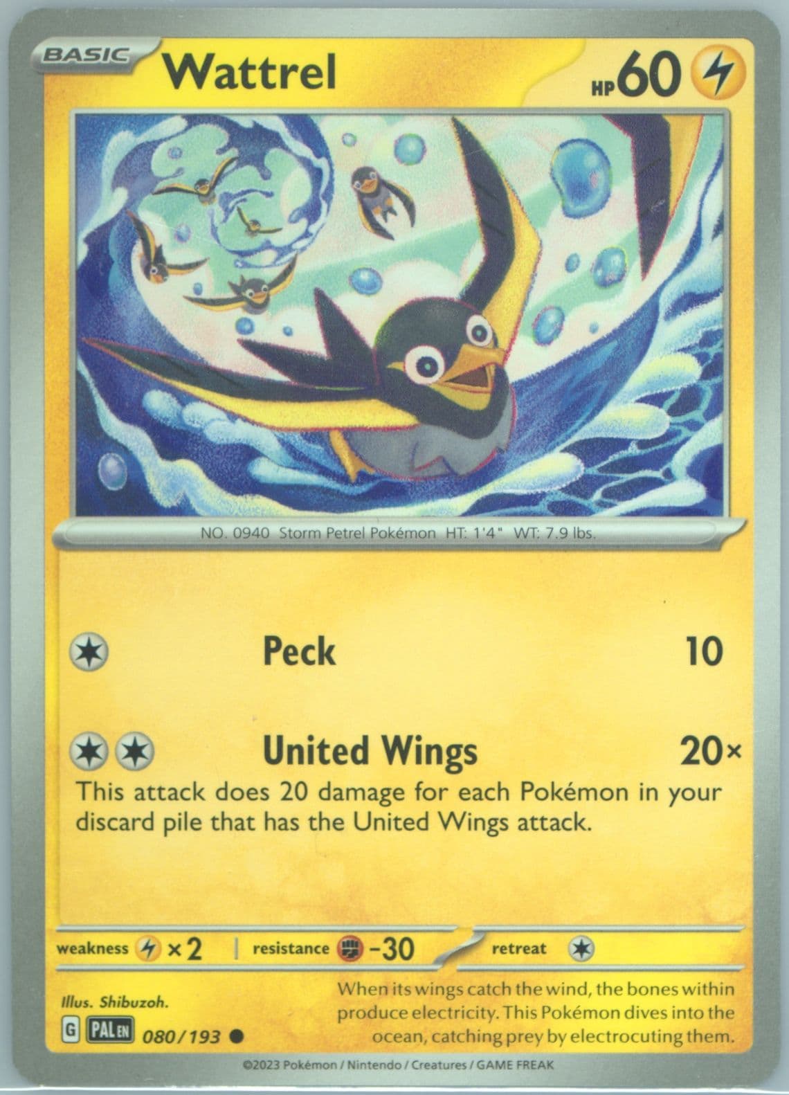 Wattrel (080) 2023 Pokemon Pal EN-Paldea Evolved