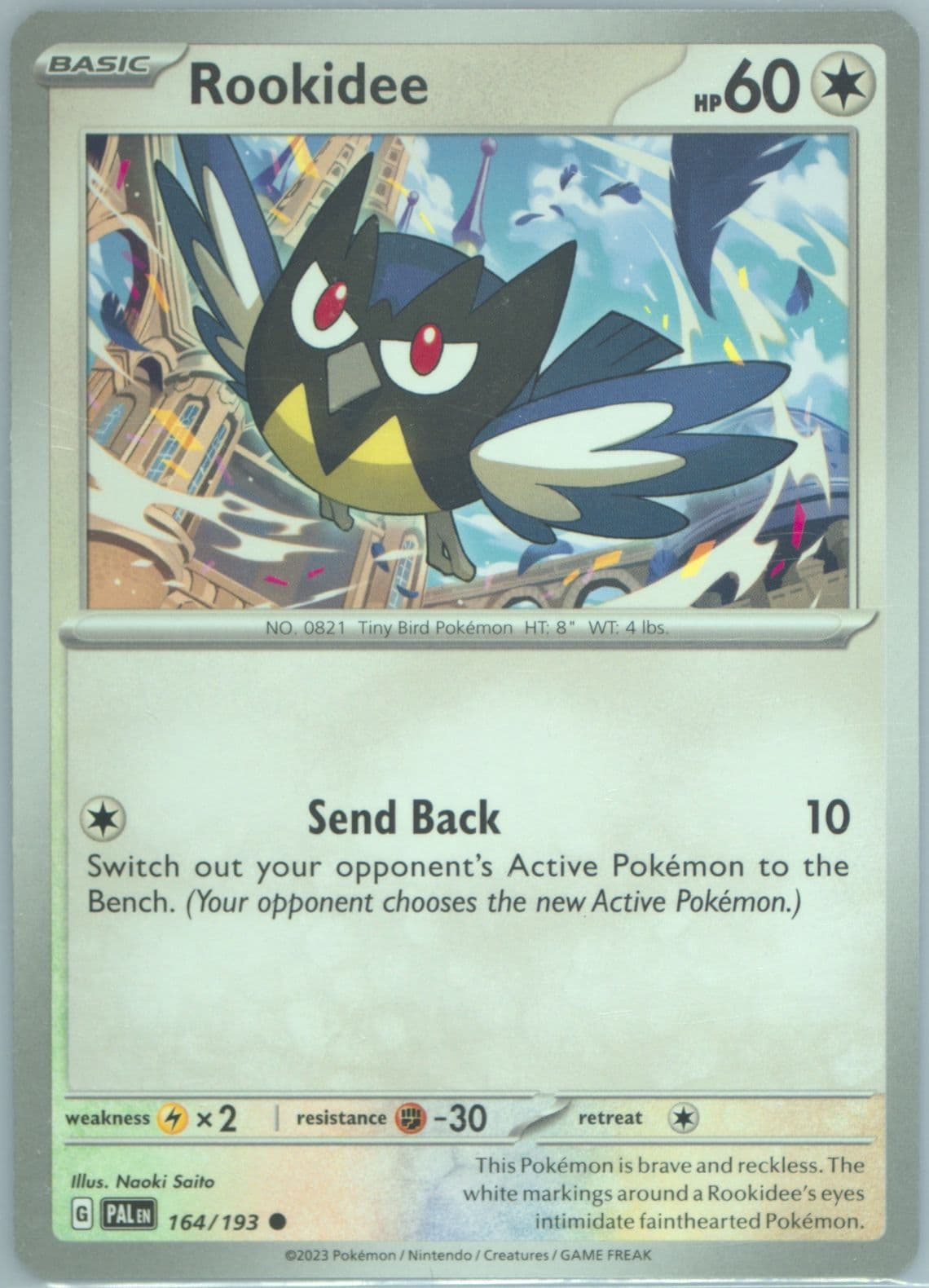 Rookidee (164) 2023 Pokemon Pal EN-Paldea Evolved