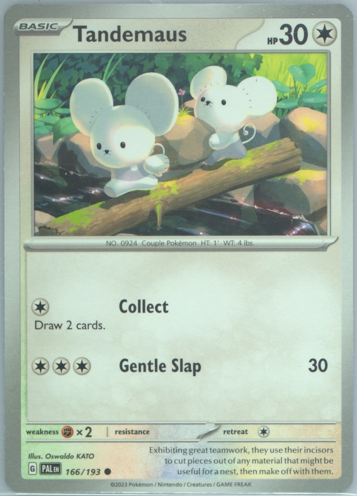 Tandemaus (166) 2023 Pokemon Pal EN-Paldea Evolved
