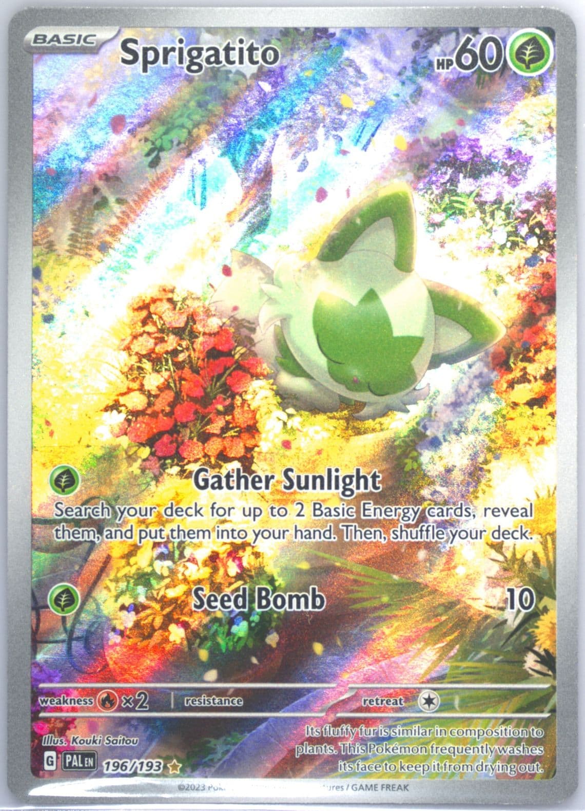Sprigatito Illustration Rare (196) 2023 Pokemon Pal EN-Paldea Evolved
