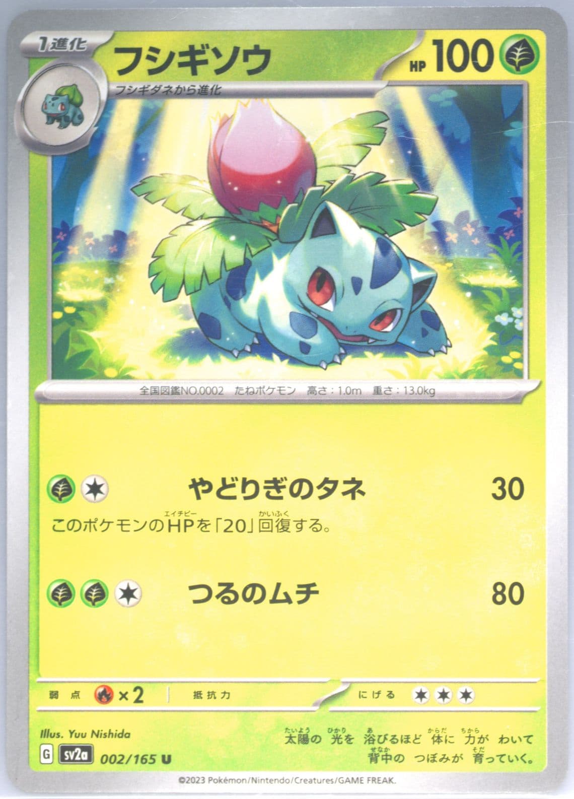 Ivysaur (002) 2023 Pokemon Japanese Sv2a-Pokemon 151