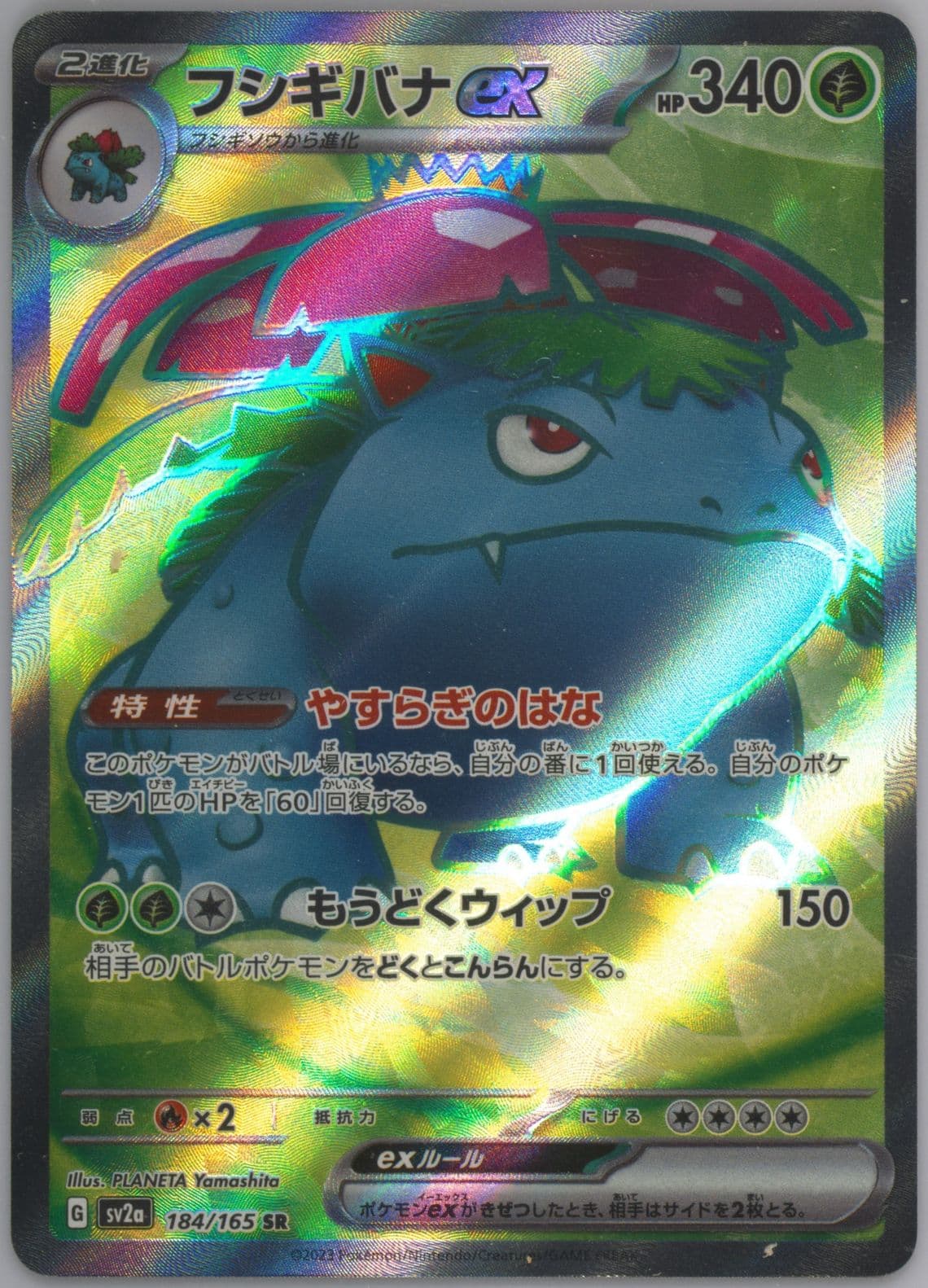 Venusaur EX Super Rare (184) 2023 Pokemon Japanese Sv2a-Pokemon 151