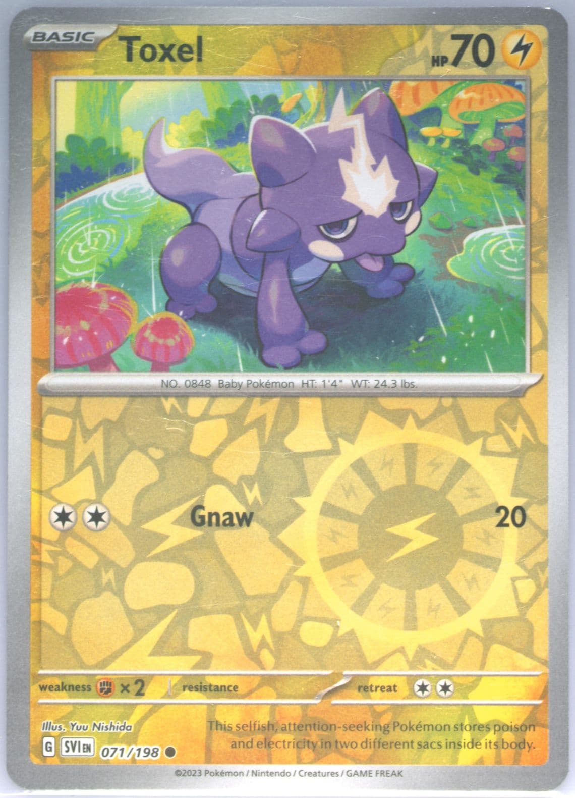 Toxel Reverse Holo (071) 2023 Pokemon Svi EN-Scarlet & Violet
