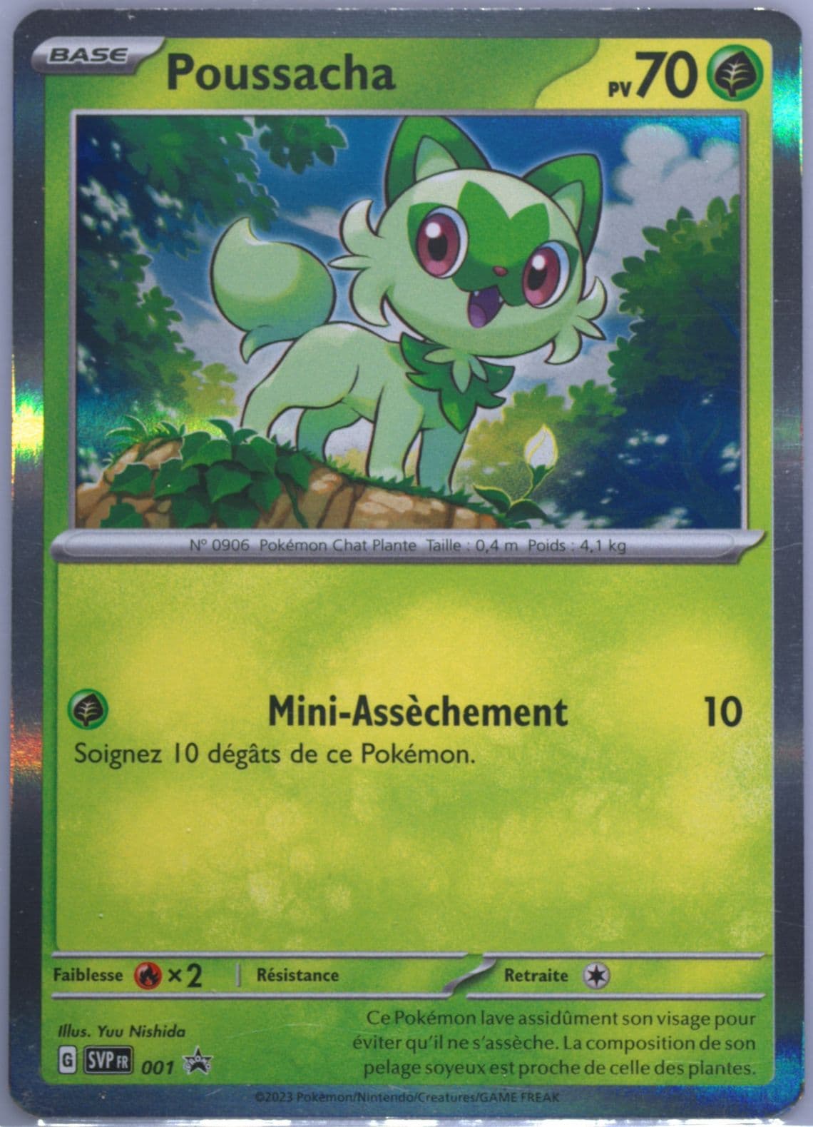 Poussacha Paldea Collection (001) 2023 Pokemon French Svp FR-SV Black Star Promo