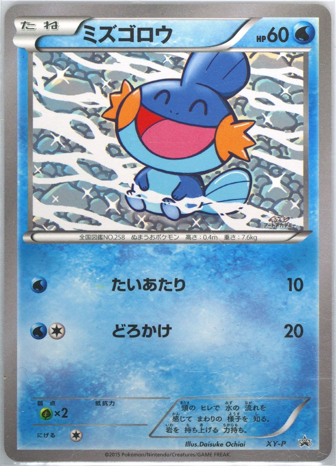 Mudkip Art Academy-Daisuke Ochiai (XY-P) 2015 Pokemon Japanese XY Promo