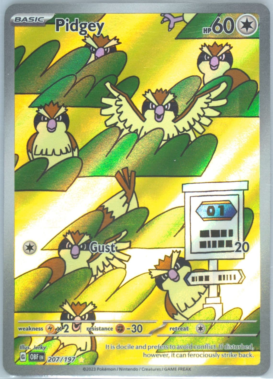 Pidgey Illustration Rare (207) 2023 Pokemon Obf EN-Obsidian Flames