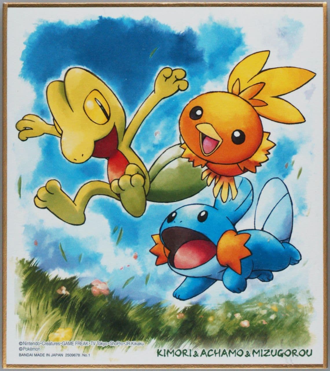 Treecko & Torchic & Mudkip