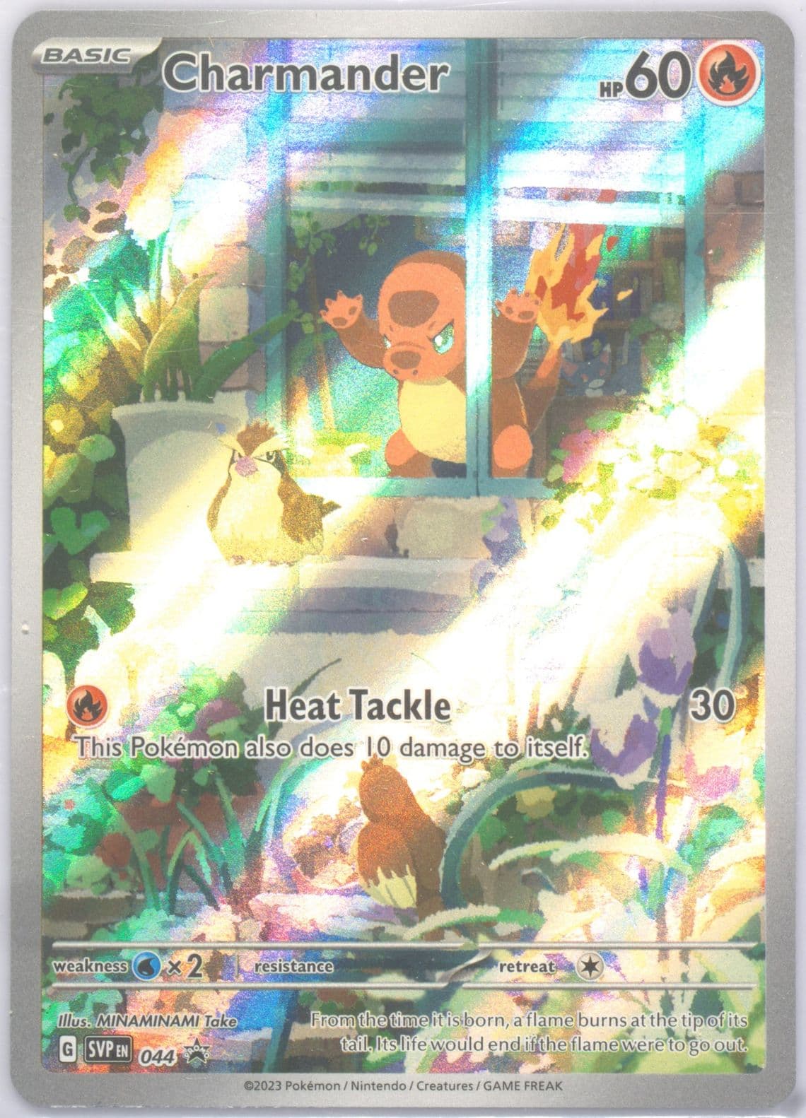 Charmander Obsidian Flames Elite Trainer Box (044) 2023 Pokemon Svp EN-SV Black Star Promo