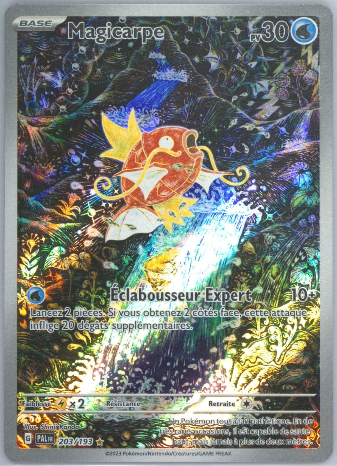 Magikarp Illustration Rare (203) 2023 Pokemon French Pal FR-Paldea Evolved