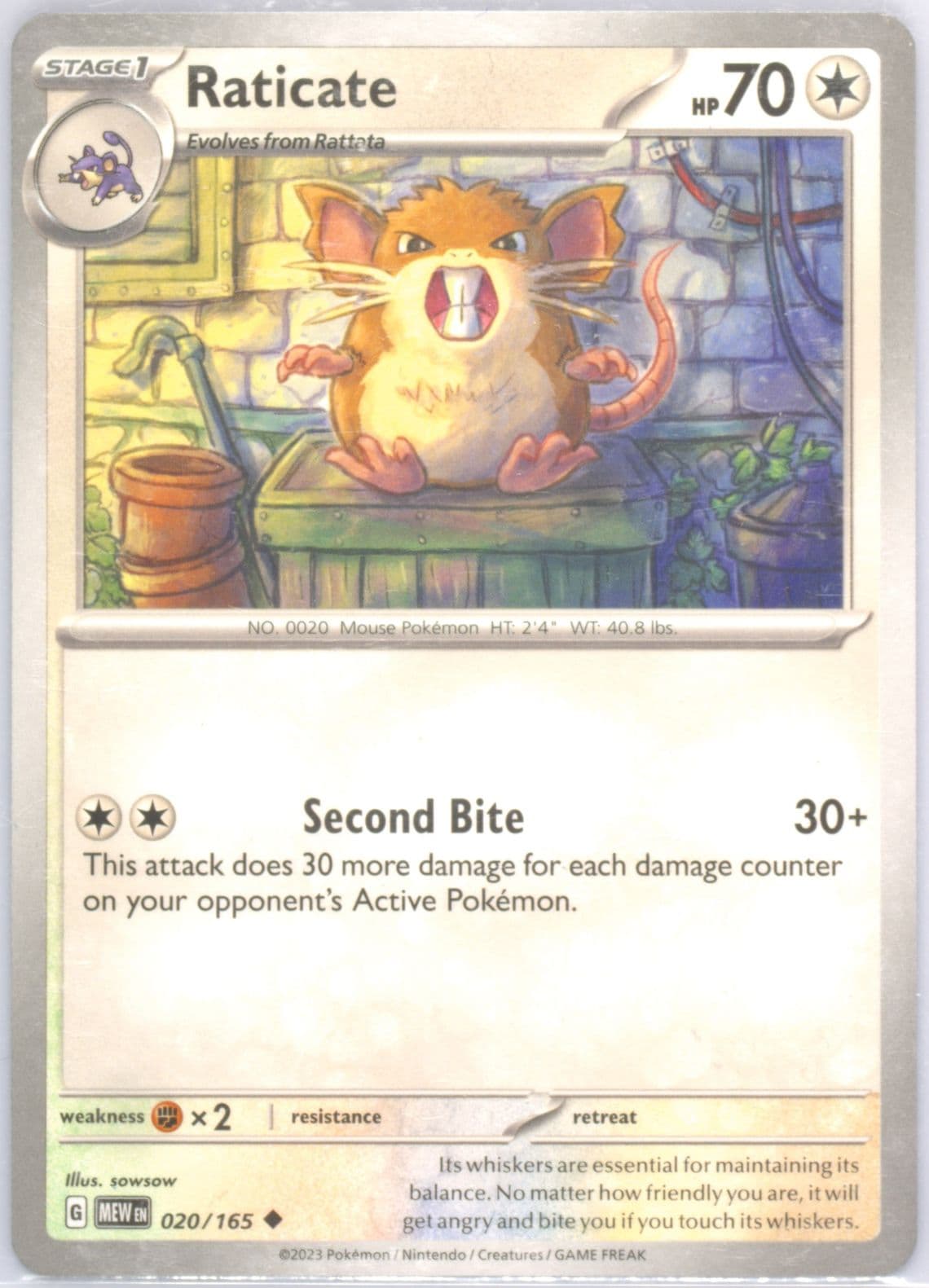 Raticate (020) 2023 Pokemon Mew EN-151