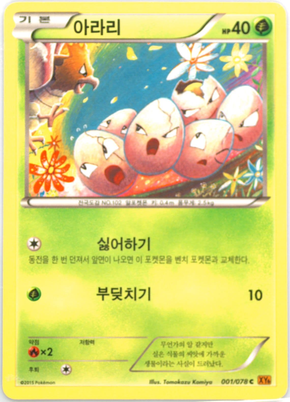 Exeggcute (001) 2015 Pokemon Korean XY Emerald Break