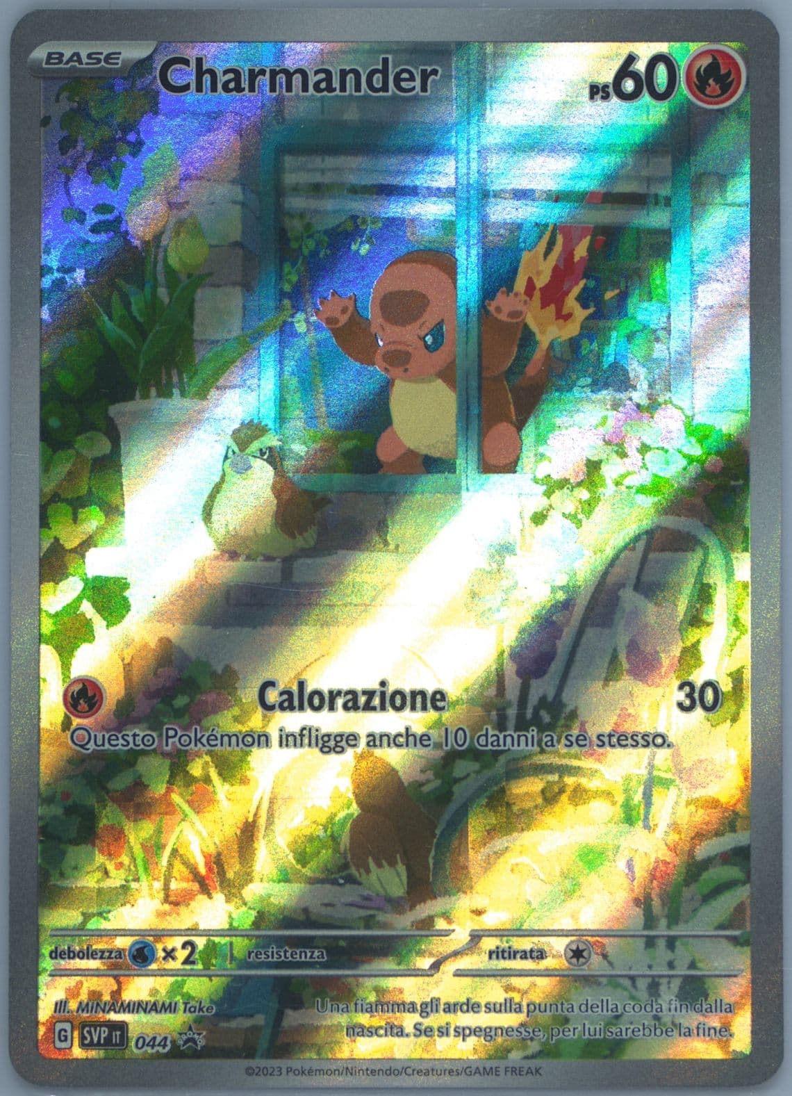 Charmander Obsidian Flames Elite Trainer Box (044) 2023 Pokemon Italian Svp It-SV Black Star Promo