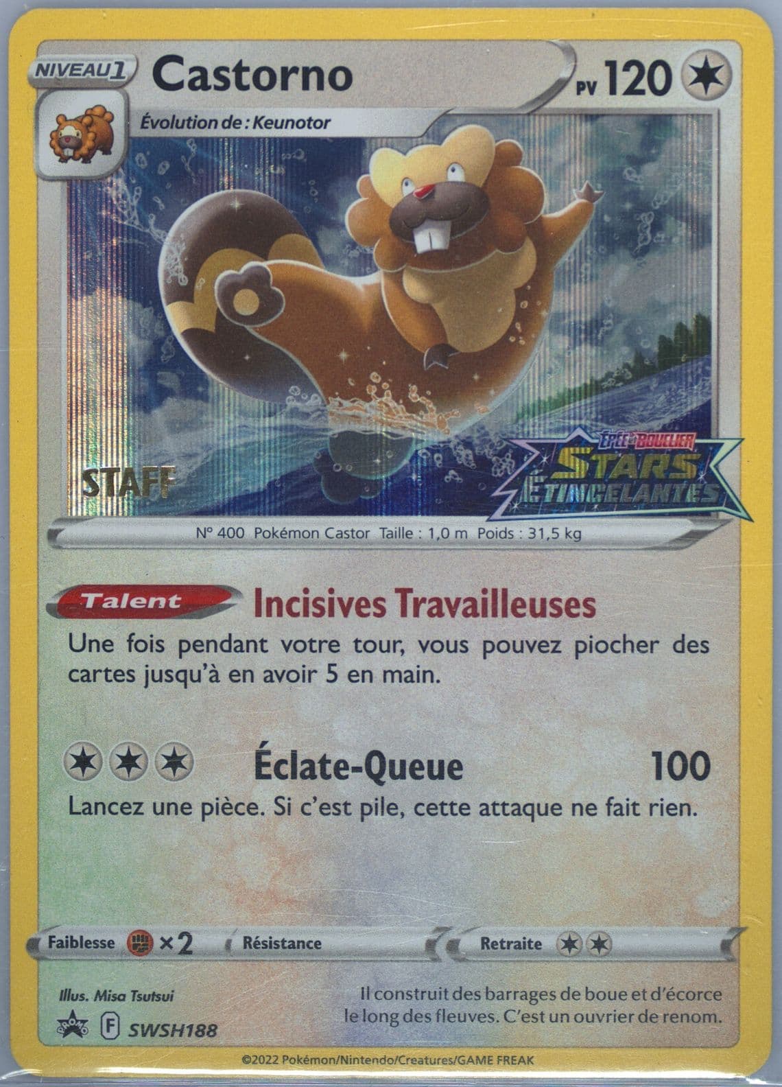 Castorno-Holo Prerelease-Staff-French (188) 2023 Pokemon Swsh Black Star Promo