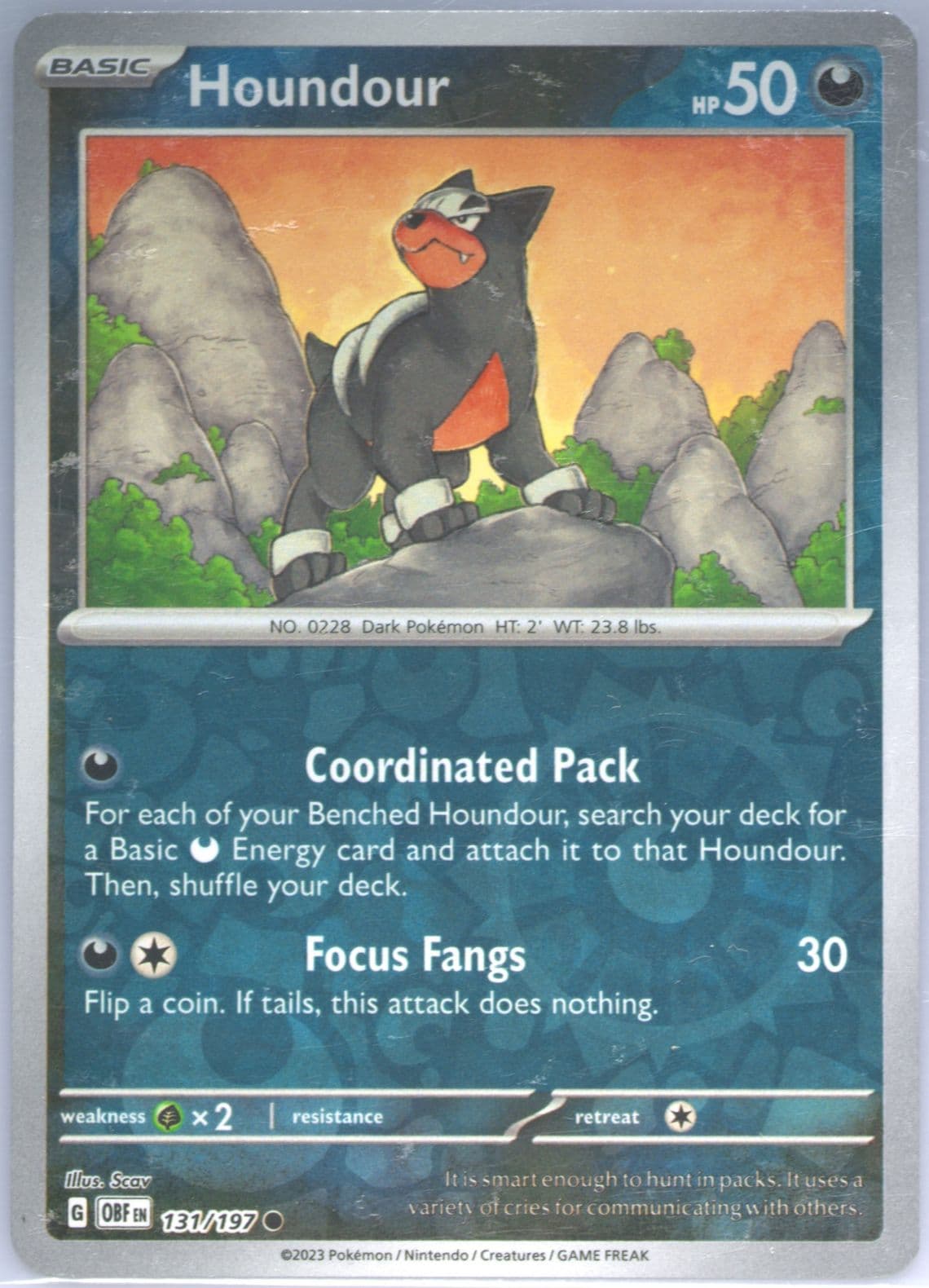 Houndour Reverse Holo (131) 2023 Pokemon Obf EN-Obsidian Flames