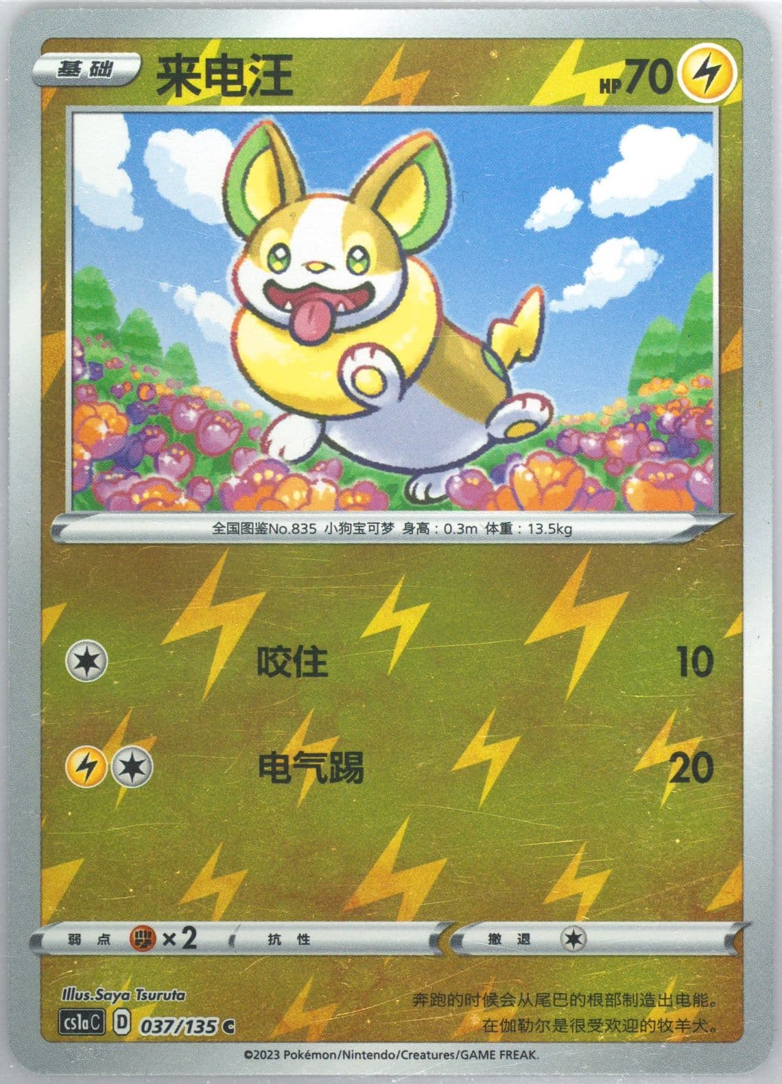 Yamper Reverse Holo (037) 2023 Pokemon Simplified Chinese Cs1a C-Dynamax Clash: Thunder