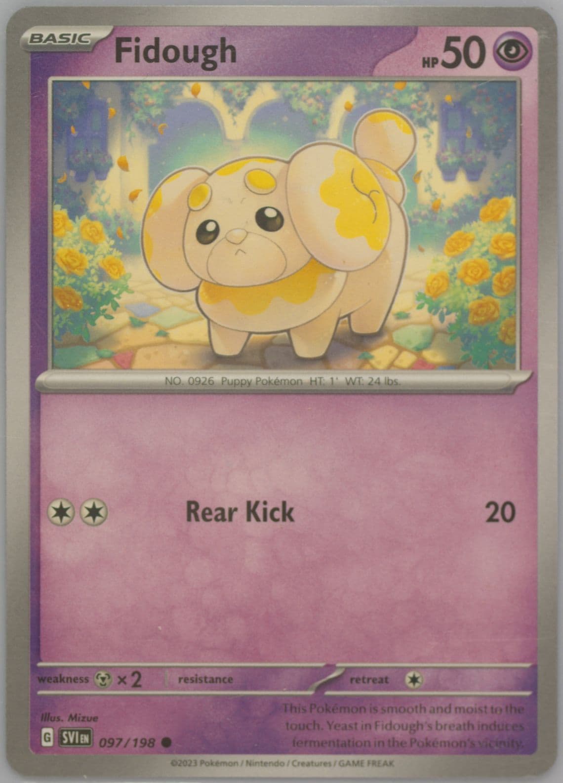 Fidough (097) 2023 Pokemon Svi EN-Scarlet & Violet