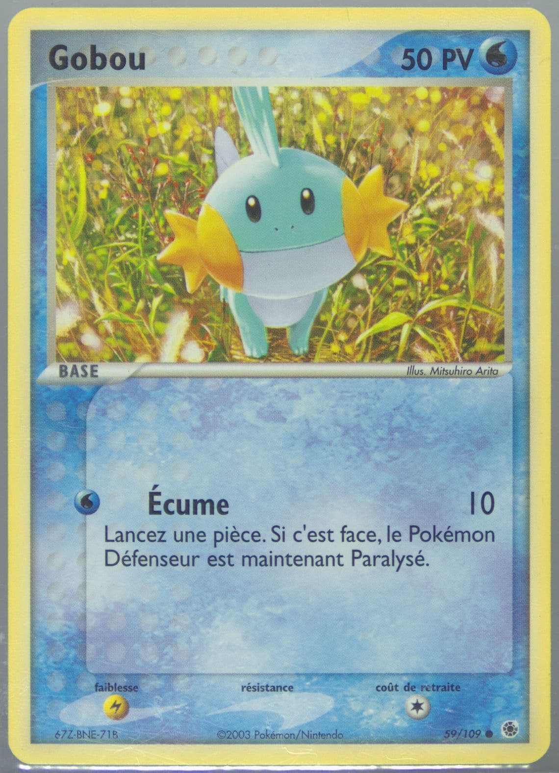 Gobou French (59) 2003 Pokemon EX Ruby & Sapphire