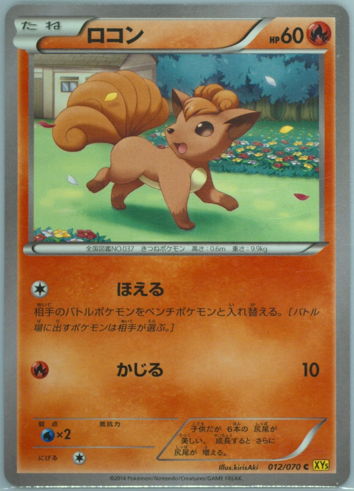 Vulpix (012) 2014 Pokemon Japanese XY Gaia Volcano