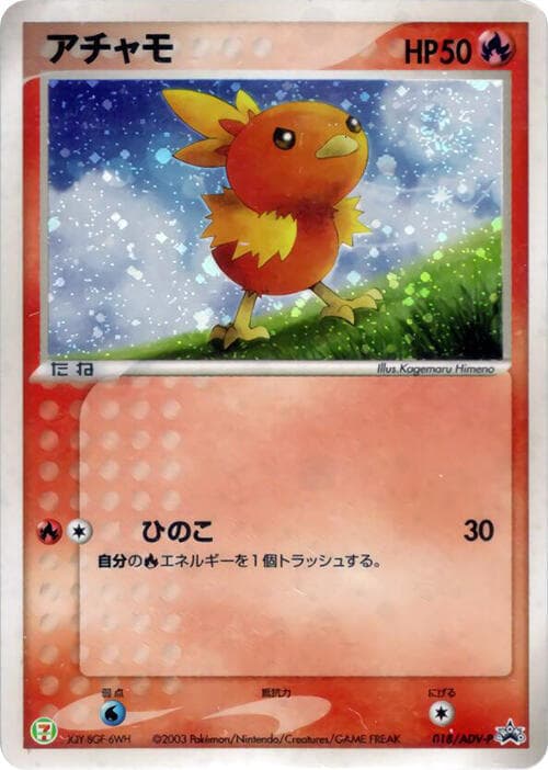 Torchic